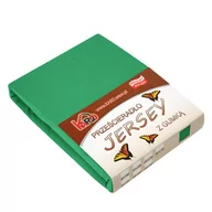 Prześcieradła - Prześcieradło jersey z gumką KARO 90x200 cm, zielone trawiaste 049 grube 150g/m2 - miniaturka - grafika 1