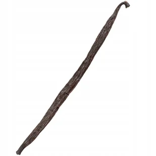 LASKA WANILII 13-16 cm Wanilia Laski Madagaskar Jakość 1 Kol-Pol - 1 sztuka - Przyprawy i zioła sypkie - miniaturka - grafika 1