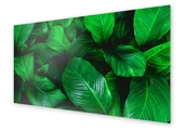 Dekoracje domu - Panel kuchenny HOMEPRINT Tekstura z zielonych liści 120x60 cm - miniaturka - grafika 1