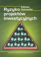 Biznes - Ryzyko Projektów Inwestycyjnych - miniaturka - grafika 1