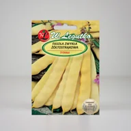 Nasiona i cebule - Nasiona Fasola zwykła Tytania 40g - W.Legutko - miniaturka - grafika 1