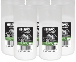 ZESTAW Wkłady do zniczy parafinowe BISPOL P195 45H 5szt. + Zapałki DABSTER_PL 38szt. - Lampiony i znicze - miniaturka - grafika 1