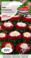 Nasiona i cebule - Nasiona Aster wysoki pomponowy biało- Torseed - miniaturka - grafika 1
