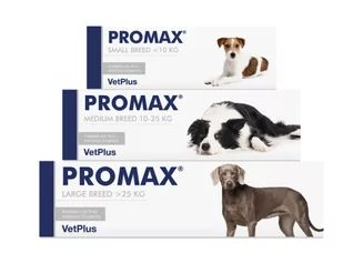 Vet Plus Limited VETPLUS Promax probiotyk dla psów dużych ras 30ml - Suplementy i witaminy dla psów - miniaturka - grafika 1