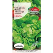 Nasiona i cebule - TORSEED nasiona SAŁATA GŁOWIASTA MASŁOWA ŚREDNIO PÓŹNA MICHALINA 2 G - miniaturka - grafika 1