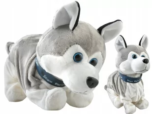 Piesek Interaktywny Husky Szczeka Reaguje Na Dotyk Z434 - Zabawki interaktywne dla dzieci Piesek Interaktywny Husky Szczeka Reaguje Na Dotyk Z434 - Zabawki interaktywne dla dzieci - miniaturka - grafika 1