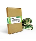 Nawozy ogrodnicze - Tropical Woskowijka rozmiar S, M, L Pack BeePack - miniaturka - grafika 1