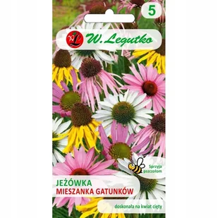 Nasiona Jeżówka - mieszanka gatunków mieszanka 1g - W.Legutko - Nasiona i cebule - miniaturka - grafika 1