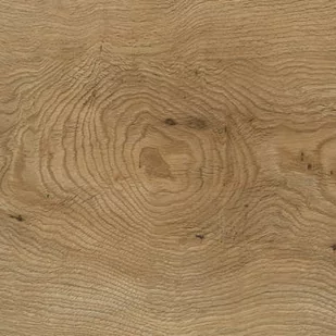 Panele winylowe SPC Dąb Belize Intenso Artens 5902188793239 - Panele podłogowe - miniaturka - grafika 1