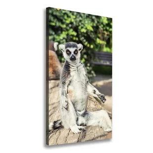Foto obraz drukowany na płótnie pionowy Lemur - Obrazy i zdjęcia na płótnie - miniaturka - grafika 1