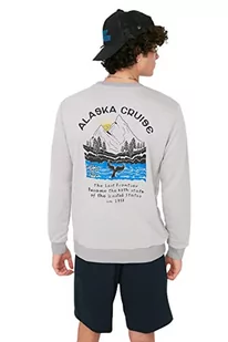 Trendyol Męska bluza z okrągłym dekoltem z nadrukiem krajobrazowym, szara, S, Szary, S - Bluzy męskie - miniaturka - grafika 1