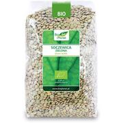 Bio Planet soczewica zielona 1000g 5907814660039