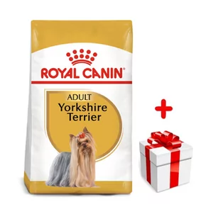 ROYAL CANIN Yorkshire Terrier Adult 1,5kg karma sucha dla psów dorosłych rasy yorkshire terrier - Sucha karma dla psów - miniaturka - grafika 1