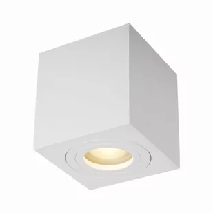 QUARDIP SL SPOT BIAŁY/WHITE ACGU10-160 - Lampy pozostałe - miniaturka - grafika 1