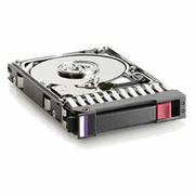 Dyski serwerowe - HP Dysk serwerowy 750GB 3.5 Inch SATA NCQ 432401-002 - miniaturka - grafika 1