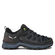 Buty trekkingowe męskie - Trekkingi Salewa Ms Mtn Trainer Lite Gtx GORE-TEX 61361-0971 Czarny - miniaturka - grafika 1