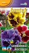 Nasiona i cebule - Bratek germanica Rococo 0,2g / L / - miniaturka - grafika 1