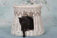 Legowiska dla kotów - WickerPL CARI BUDA DLA KOTA LEŻAK DLA ZWIERZĄT DOMEK DLA KOTA Z WIKLINY PIĘTROWY Z PODUSZKAMI 50X40 H45 CM - miniaturka - grafika 1