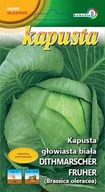 Nasiona i cebule - Kapusta biała Ditmarska Najwcześniejsza 2g / L / - miniaturka - grafika 1