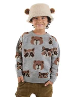 Swetry dla chłopców - Denokids Sweter w kolorze szarym - miniaturka - grafika 1