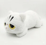 Maskotki i pluszaki - DUŻA MASKOTKA PLUSZAK BIAŁY KOT 45CM PUSZYSTY KOTEK NA PREZENT GRUMPY - miniaturka - grafika 1