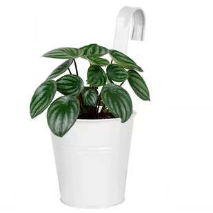 Blumfeldt Vilde OSŁONKA balkonowa tarasowa zawieszana wieszak na doniczkę BIAŁA 339158-B - Donice - miniaturka - grafika 1