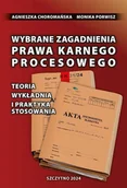 E-booki - prawo - Wybrane zagadnienia prawa karnego procesowego. Teoria, wykładnia i praktyka stosowania - miniaturka - grafika 1