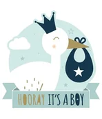 Wyposażenie pokoiku dziecięcego - PD-Party 7005054 Znaki Dekoracji Imprezowych | Tekturowe Znaki Okienne | Dekoracja Okien - New Born Baby Boy, Wielokolorowy, 50cm Długość x 50cm Szerokość x 0.2cm Wysokość - miniaturka - grafika 1