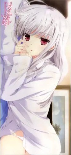Plakat Anime Manga Absolute Duo ad_995 A2 (custom)