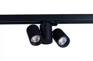 Azzardo MEGARA AZ4443 reflektor szynowy 2x50W/GU10 IP20 AZ4443 - Lampy pozostałe - miniaturka - grafika 1