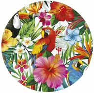 Dekoracje i nakrycia stołu na imprezę - Talerzyki hawajskie Tropikalne Ptaki - 23 cm - 6 szt. - miniaturka - grafika 1