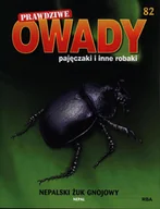 Czasopisma - Prawdziwe Owady Pajęczaki i Inne Robaki Reedycja - miniaturka - grafika 1