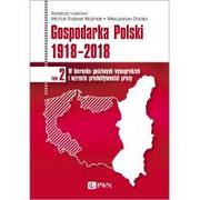 Ekonomia - Gospodarka Polski 1918-2018 W Kierunku Godziwych Wynagrodzeń I Wzrostu Produktywności Pracy Tom 2 Michał Gabriel Woźniak,mieczysław Dobija - miniaturka - grafika 1