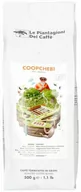Kawa - Le Piantagioni del Caffe - Coopchebi Espresso 500g - miniaturka - grafika 1