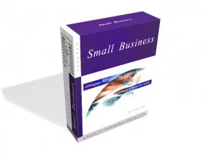 SMALL BUSINESS - SPRZEDAŻ + KASY + KADRY-PŁACE - Programy finansowe i kadrowe - miniaturka - grafika 1