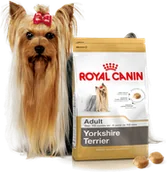 Mokra karma dla psów - Royal Canin ROYAL CANIN Yorkshire Terrier Adult 7,5kg karma sucha dla psów dorosłych rasy yorkshire terrier - 4+1 PROMOCYJNE OPAKOWANIE - miniaturka - grafika 1