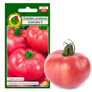 POMIDOR FAWORYT OWOC XXL MIĘSISTY NASIONA BEZ GMO - Nasiona i cebule - miniaturka - grafika 1