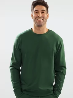 Swetry męskie - Sweter DKaren Sweatshirt Justin XL Green (5903251465008) - grafika 1