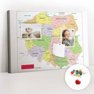 Szkolna Tablica korkowa 60x40 cm, Kolorowe Pinezki, wzór Mapa Polski - Tablice i flipcharty - miniaturka - grafika 1