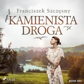 Audiobooki - romanse - Kamienista droga - miniaturka - grafika 1