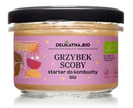 Herbata - GRZYBEK SCOBY STARTER DO KOMBUCHY BIO 150 g - DELIKATNA (ZAKWASOWNIA) - miniaturka - grafika 1