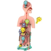 Łamigłówki - Smartivity Drewniane Mechaniczne Puzzle 3D - Pogromca Zarazków - miniaturka - grafika 1