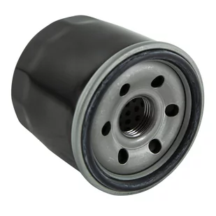 Filtr oleju Loncin krótki LONCIN LC2V90 (T230) 150350041-0001 CZĘŚĆ ORYGINALNA - Filtry oleju - miniaturka - grafika 1