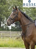 Siodła - BUSSE Wytok STANDARD PRO - miniaturka - grafika 1