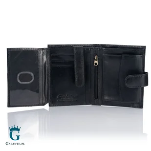 Portfel Męski z Łańcuchem PETERSON 303ZŁ RFID - Portfele - miniaturka - grafika 4