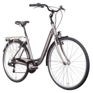 Bottecchia Rower miejski Monotube 7B 28 cali damski Tytanowy BOTTECH 212044872 - Rowery - miniaturka - grafika 1