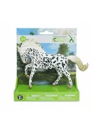 Albumy krajoznawcze - Klacz Knabstrupper - miniaturka - grafika 1