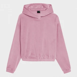 Damska bluza dresowa nierozpinana z kapturem 4F TSWSF030 - Bluzy sportowe damskie - miniaturka - grafika 1