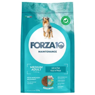 Forza 10 Medium Maintenance, ryba - 12 kg - Sucha karma dla psów - miniaturka - grafika 1