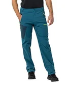 Spodenki męskie - Jack Wolfskin Męskie spodnie Dummy Model - miniaturka - grafika 1